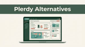 Choosing A Plerdy Alternative For Your Website Testing