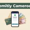 A smartphone with a transfer confirmation beside a Cameroon bank card and XAF notes.